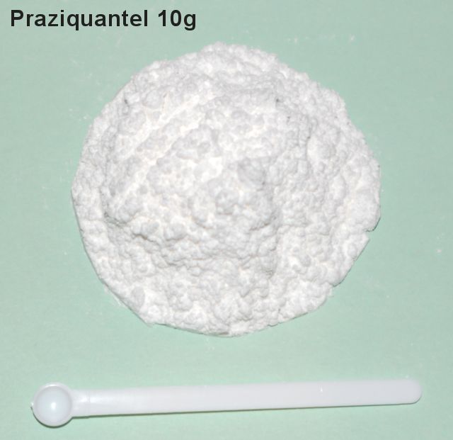 10 grams Praziquantel Powder